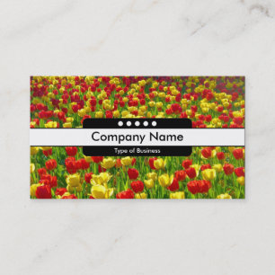 Carte De Visite Bande centrale 5 spots - Mer des tulipes