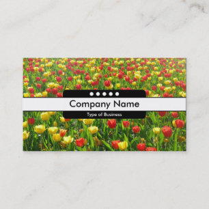 Carte De Visite Bande centrale 5 Spots - Mer des Tulipes II