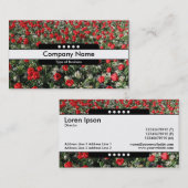 Carte De Visite Bande centrale 5 Spots - Tulipes rouges et Primros (Devant / Derrière)