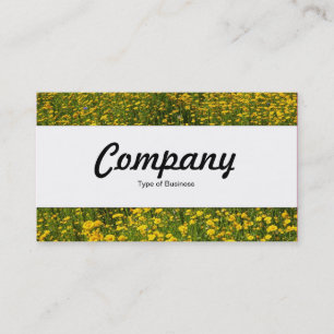 Carte De Visite Bande centrale - Lit de marguerites jaunes
