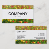 Carte De Visite Bande centrale - Mer des Tulipes II (Devant / Derrière)