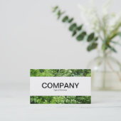 Carte De Visite Bande Centre - Summer Breeze (Debout devant)