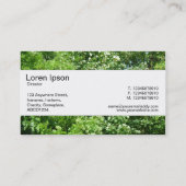Carte De Visite Bande Centre - Summer Breeze (Dos)