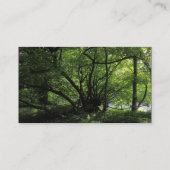 Carte De Visite Bande de couleurs - Noir - Arbres d'une rivière (Dos)