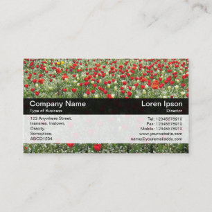 Carte De Visite Bande de couleurs - Noir - Lit de tulipes