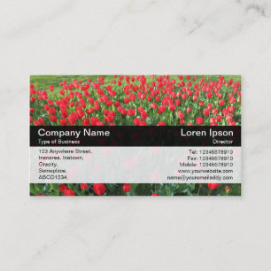 Carte De Visite Bande de couleurs - Noir - Lit de Tulipes rouges 0