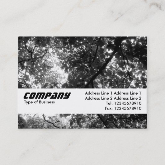 Carte De Visite Bande de texture - Dans les arbres (Devant)