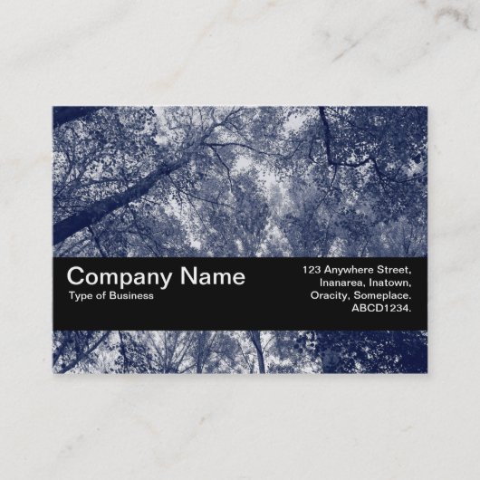 Carte De Visite Bande de texture V2 - Automne Bleu (Devant)