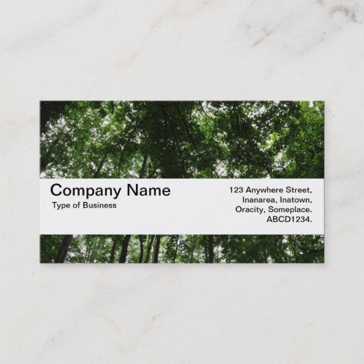 Carte De Visite Bande de texture V2 - Canopée de bois 01 (Devant)
