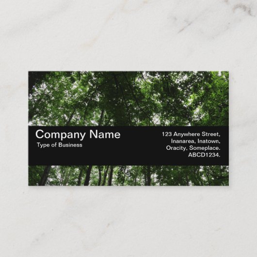 Carte De Visite Bande de texture V2 - Canopée de bois 01 (Devant)