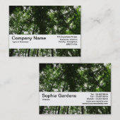 Carte De Visite Bande de texture V2 - Canopée de bois 01 (Devant / Derrière)