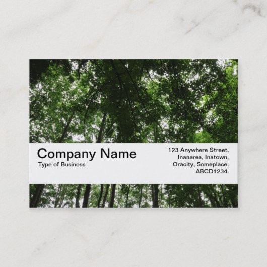 Carte De Visite Bande de texture V2 - Canopée de bois 01 (Devant)