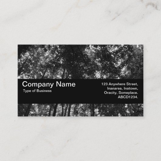 Carte De Visite Bande de texture V2 - Canopée de bois 01 BW (Devant)