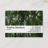 Carte De Visite Bande de texture V2 - Canopée de bois 02 (Dos)
