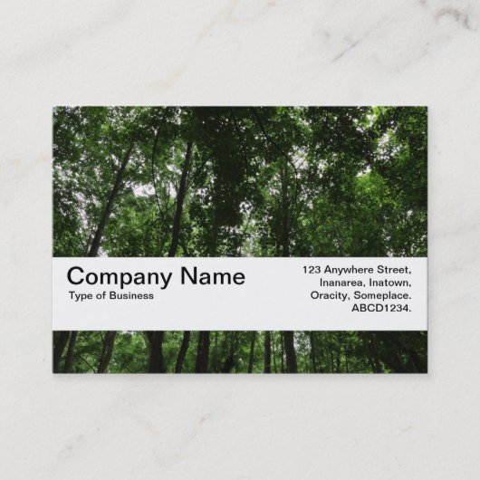 Carte De Visite Bande de texture V2 - Canopée de bois 02 (Devant)