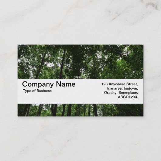 Carte De Visite Bande de texture V2 - Canopée de bois 02 (Devant)