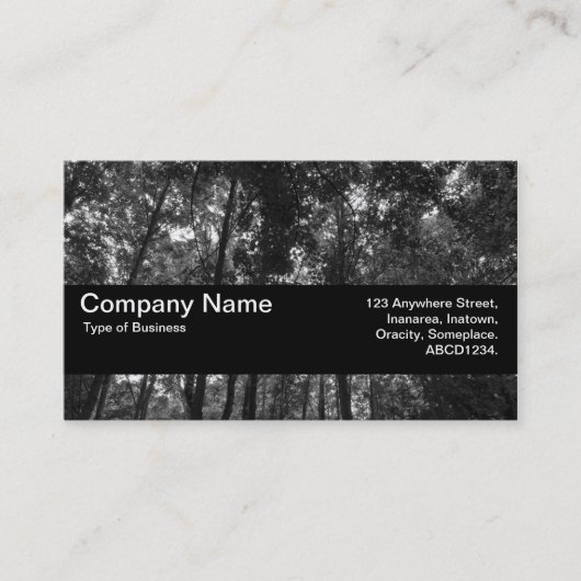 Carte De Visite Bande de texture V2 - Canopée de bois 02 BW (Devant)