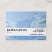 Carte De Visite Bande de texture V2 - Ciel et mouettes (Dos)