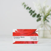 Carte De Visite Bande de texture V2 - Feuille d'érable japonaise (Debout devant)