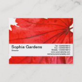 Carte De Visite Bande de texture V2 - Feuille d'érable japonaise (Dos)