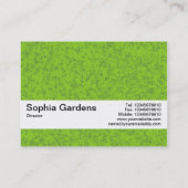 Carte De Visite Bande de texture V2 - Marbre vert (Dos)