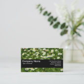 Carte De Visite Bande de texture V2 - Pré de marguerite (Debout devant)
