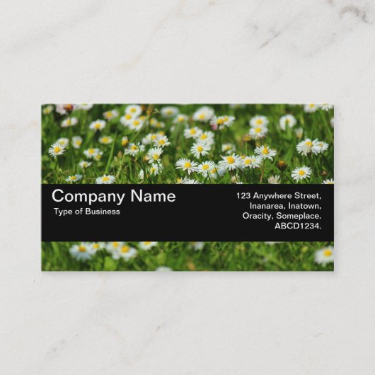 Carte De Visite Bande de texture V2 - Pré de marguerite (Devant)
