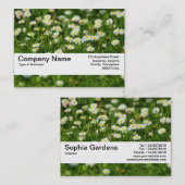 Carte De Visite Bande de texture V2 - Pré de marguerite (Devant / Derrière)