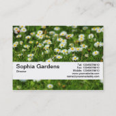 Carte De Visite Bande de texture V2 - Pré de marguerite (Dos)