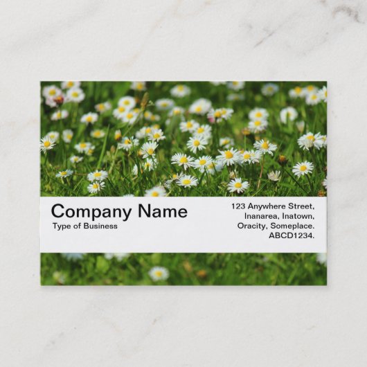 Carte De Visite Bande de texture V2 - Pré de marguerite (Devant)