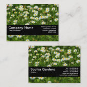 Carte De Visite Bande de texture V2 - Pré de marguerite (Devant / Derrière)