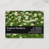 Carte De Visite Bande de texture V2 - Pré de marguerite (Dos)