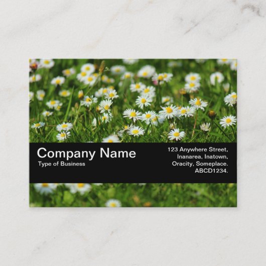 Carte De Visite Bande de texture V2 - Pré de marguerite (Devant)