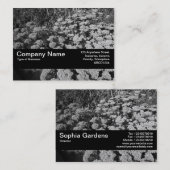 Carte De Visite Bande de texture V2 - Sédum "Joie d'automne" (Devant / Derrière)