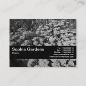 Carte De Visite Bande de texture V2 - Sédum "Joie d'automne" (Dos)