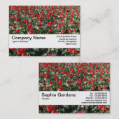 Carte De Visite Bande de texture V2 - Tulipes rouges et primates (Devant / Derrière)