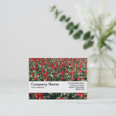 Carte De Visite Bande de texture V2 - Tulipes rouges et primates (Debout devant)