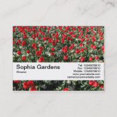 Carte De Visite Bande de texture V2 - Tulipes rouges et primates (Dos)