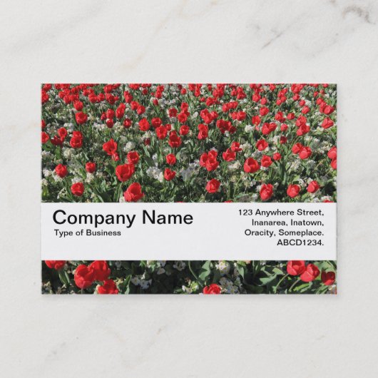 Carte De Visite Bande de texture V2 - Tulipes rouges et primates (Devant)