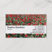 Carte De Visite Bande de texture V2 - Tulipes rouges et primates (Dos)