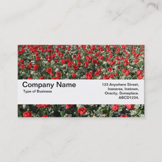 Carte De Visite Bande de texture V2 - Tulipes rouges et primates (Devant)