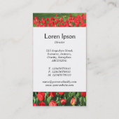 Carte De Visite Bande du centre - Tulipes rouges (Dos)