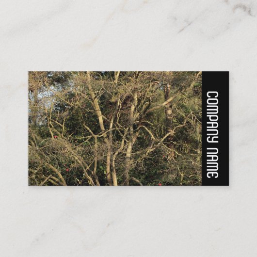 Carte De Visite Bande latérale - Branches dorées (Devant)