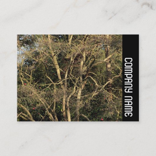 Carte De Visite Bande latérale - Branches dorées (Devant)