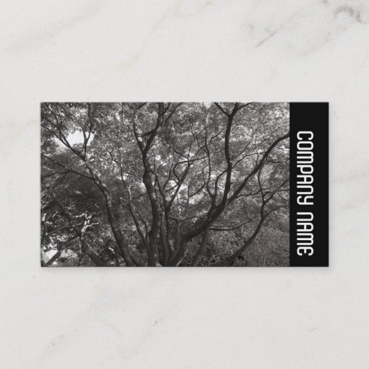 Carte De Visite Bande latérale - Branches japonaises 02 (Devant)