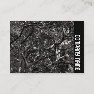 Carte De Visite Bande latérale - Branches japonaises 03