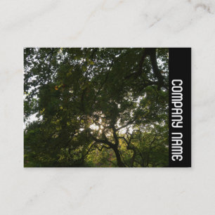 Carte De Visite Bande latérale - Branches japonaises 04