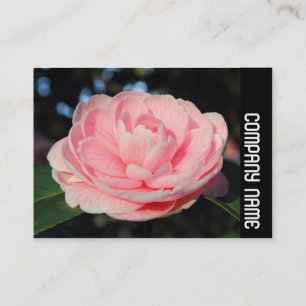 Carte De Visite Bande latérale - Camellia rose