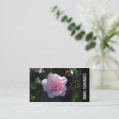 Carte De Visite Bande latérale - Camellia rose (Debout devant)
