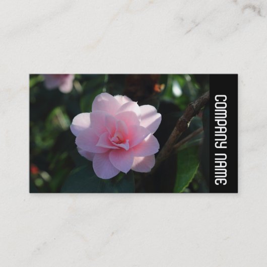 Carte De Visite Bande latérale - Camellia rose (Devant)
